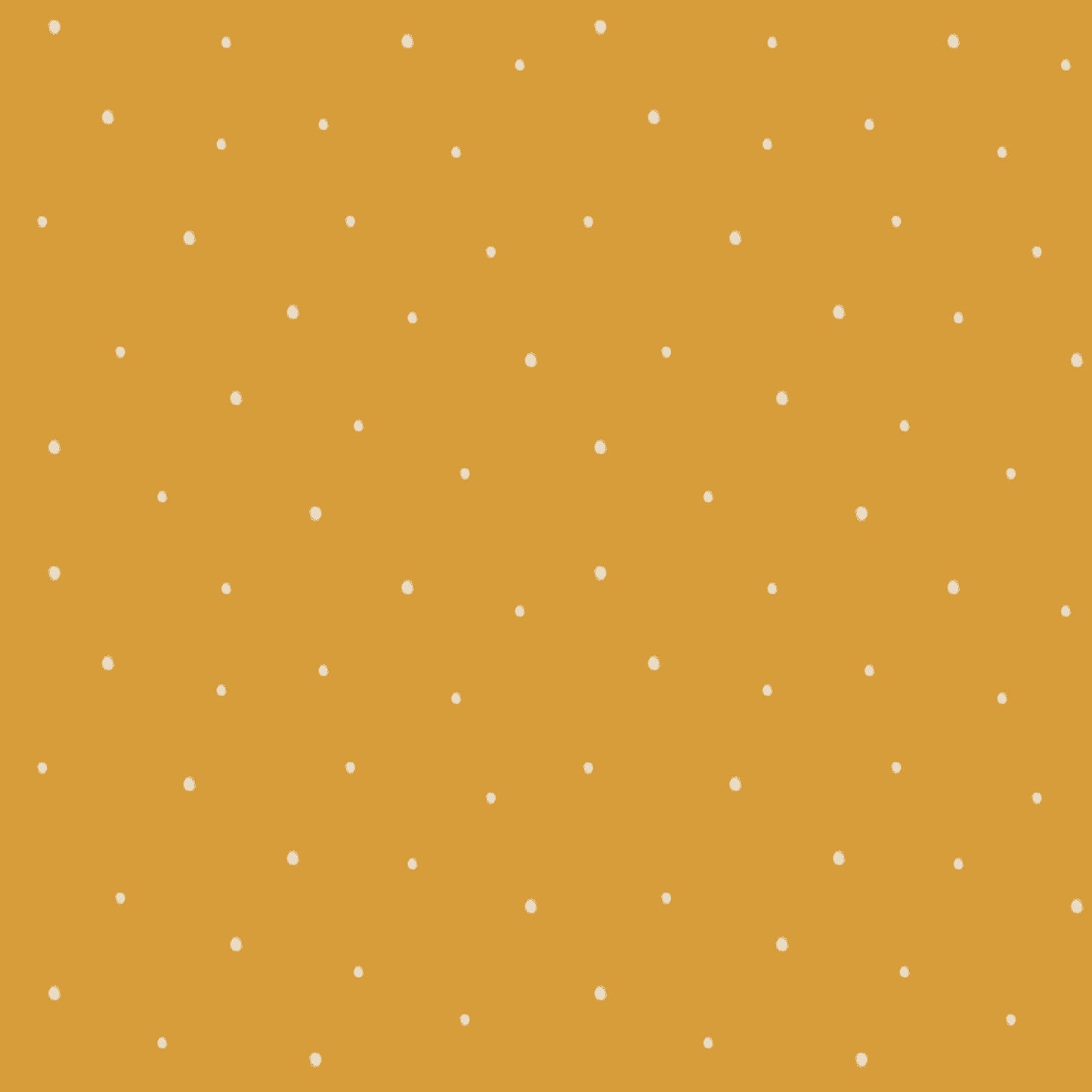 Dolce Daisies Wallpaper, Cannoli, Roll