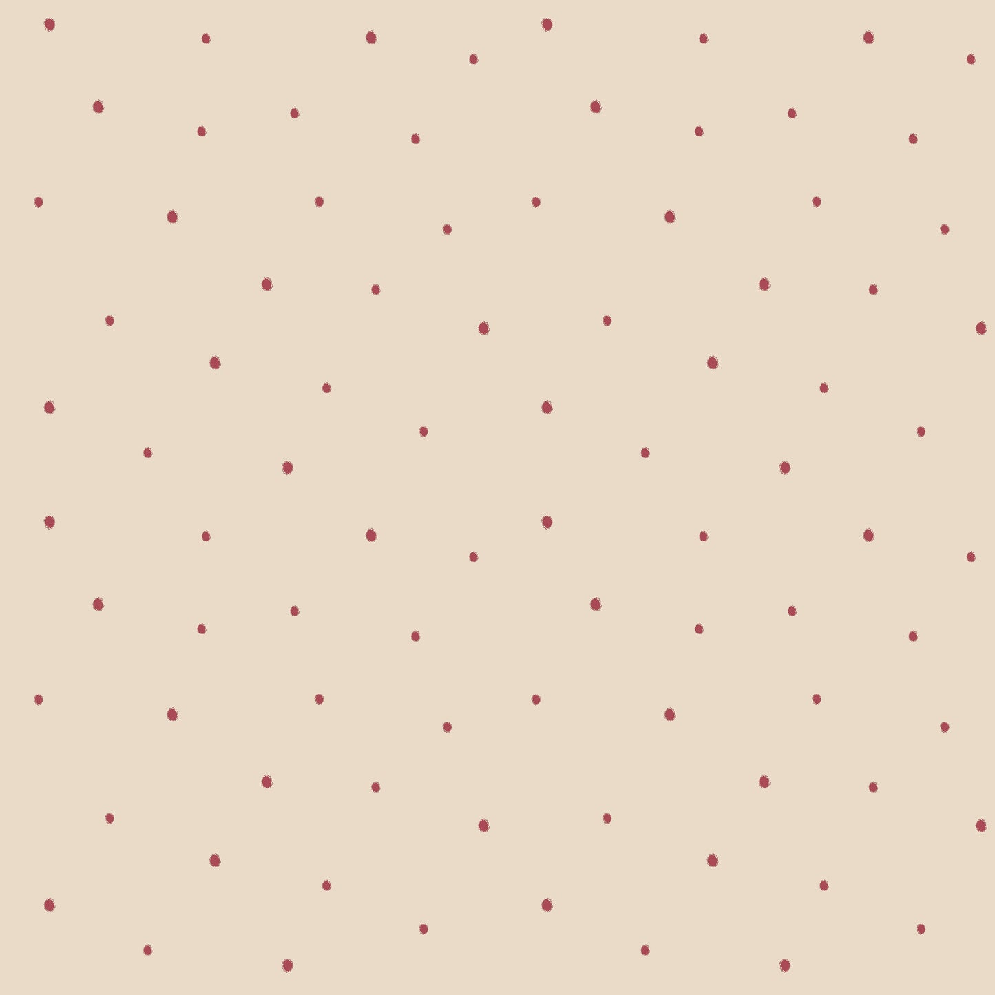 Dolce Daisies Wallpaper, Pavlova, Roll